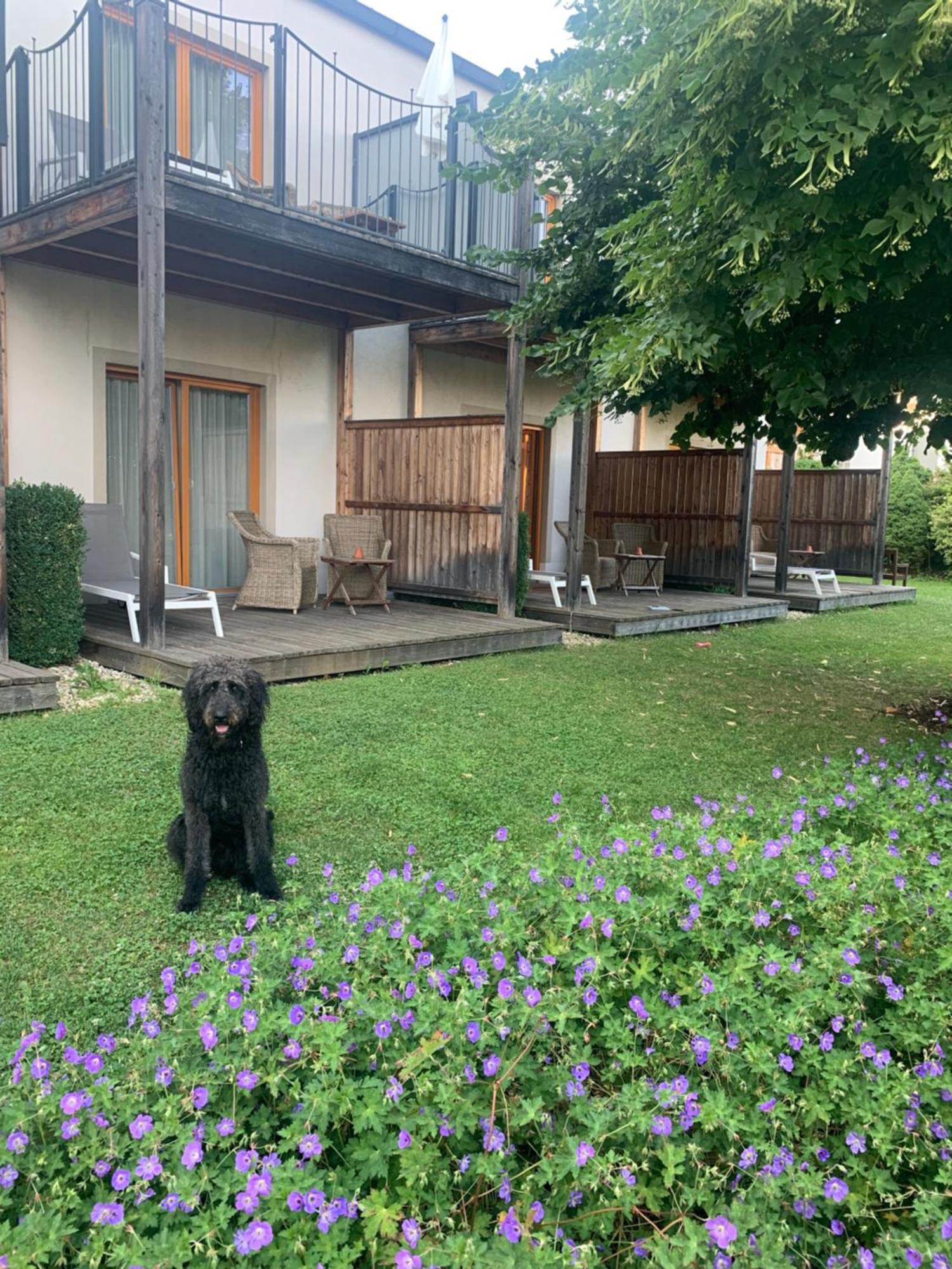 Garten-hotel Ochensberger Hotel Sankt Ruprecht an der Raab